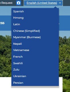 Website Translation Services