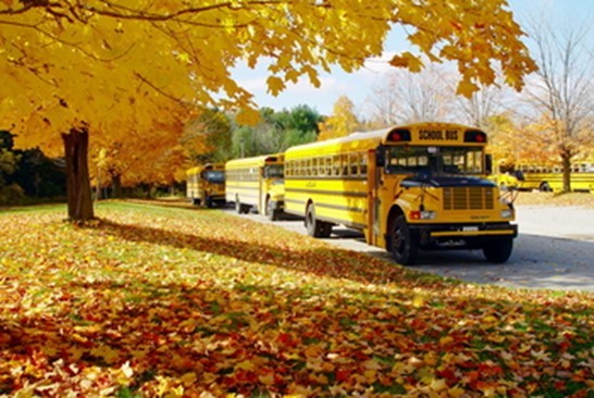 school bus under fall colored trees