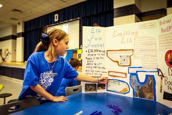 A girl points to a poster board describing a project about elk.