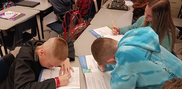 Students working as pairs