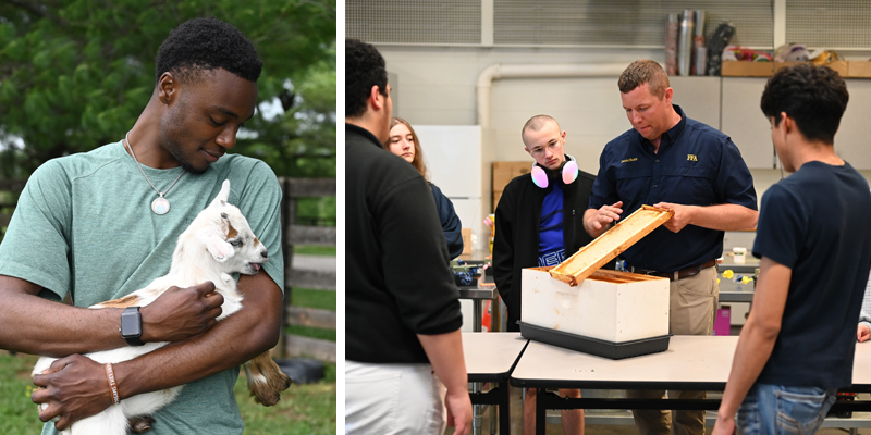 FFA images showing student holding a goat, and a teacher showing how honey is made