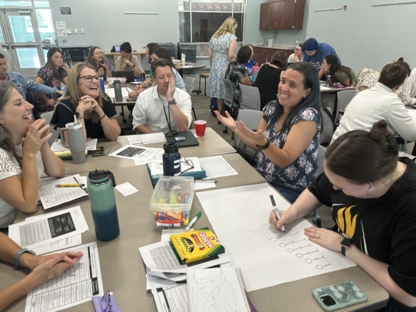 Teachers Working Together