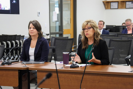 Presentation at LSAC meeting