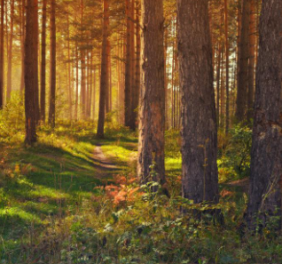 September Nature Scene