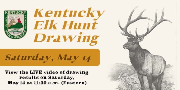 Elk Hunt Drawing