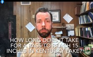 How long does it take for a bass to reach 15 inches in Kentucky Lake?