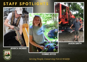 Staff Spotlights - Smith, Joyce, Morris