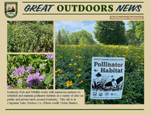 GON - Pollinator habitats