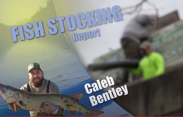 Caleb Bentley - Kentucky Afield fish stocking report