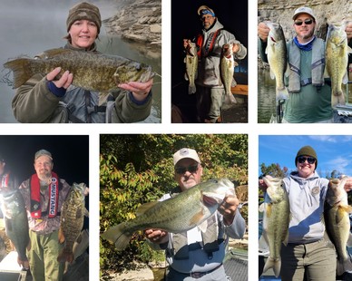 Fall bass population surveys