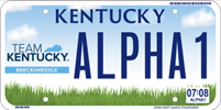License Plate Option 1a