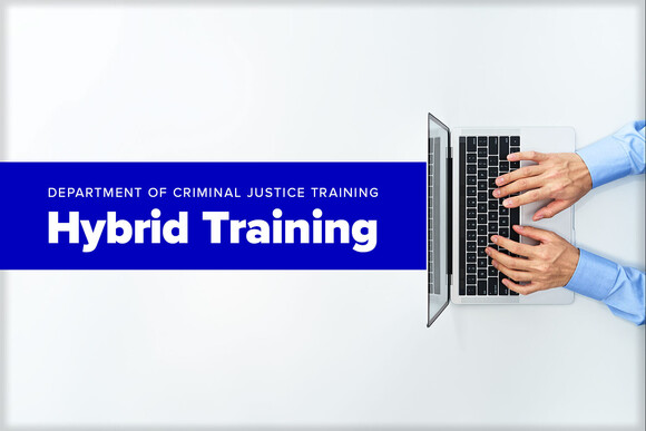 Hybrid Training