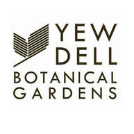 Yew Dell