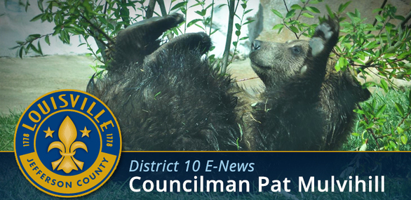 Pat Mulvihill enews header image