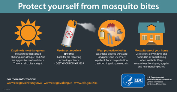 mosquito tips