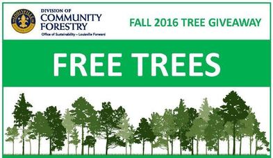Div of Forestry tree giveaway