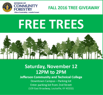 Tree Giveaway