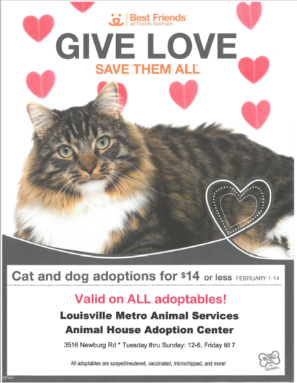 LMAS valentine special