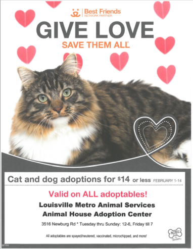 LMAS Valentines flyer