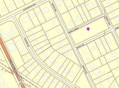 Audubon Park map for festival