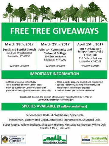 Tree giveaway
