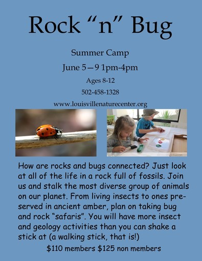 LNC Rock n Bug info