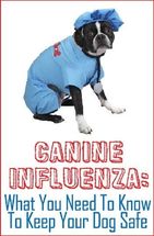 Canine Influenza Pet