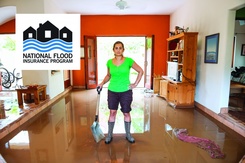 Flood insurance photo