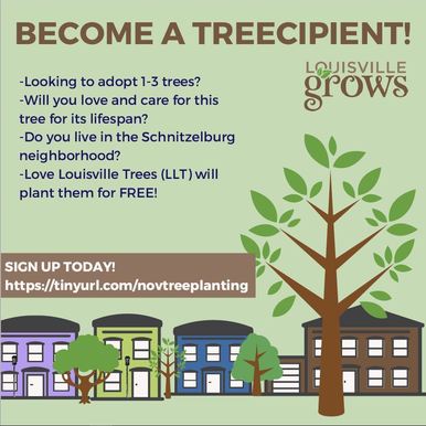 schnitzelburg tree project flyer