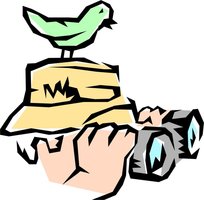 bird watching image