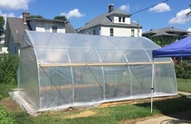greenh