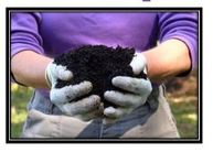 compost