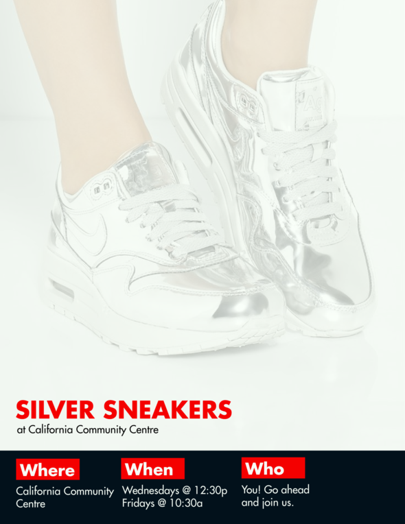 s i l v e r s n e a k e r s