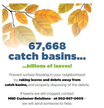 leaves in catch basins image