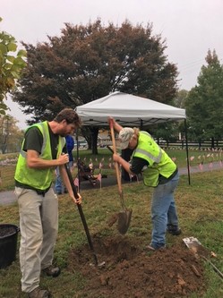 tree planters photo