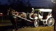 Carriage Ride