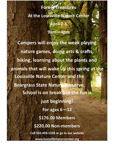 Spring Camp flyer 