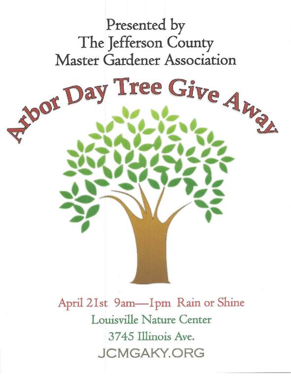 Forest for the trees