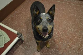 asdfasdafsdfsdasdafs