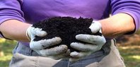 compost