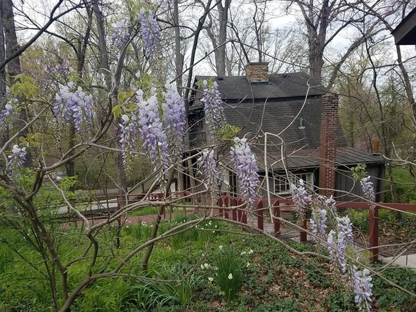 llh wisteria