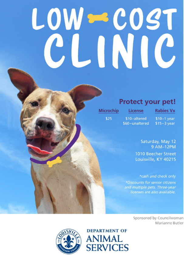 dog clinic