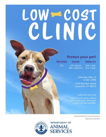 Low Cost Clinic poster