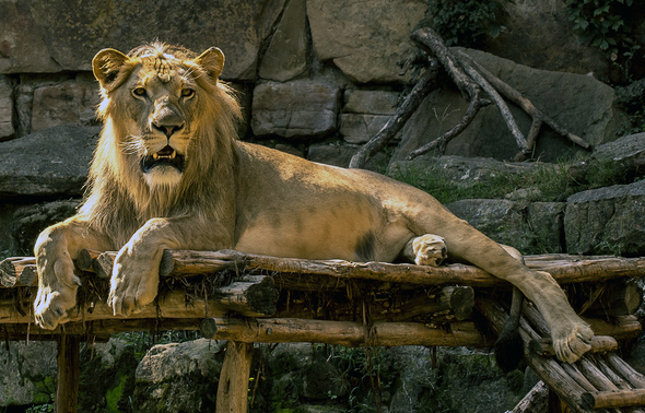 Louisville Zoo drinking water stations hydrate visitors, help environment