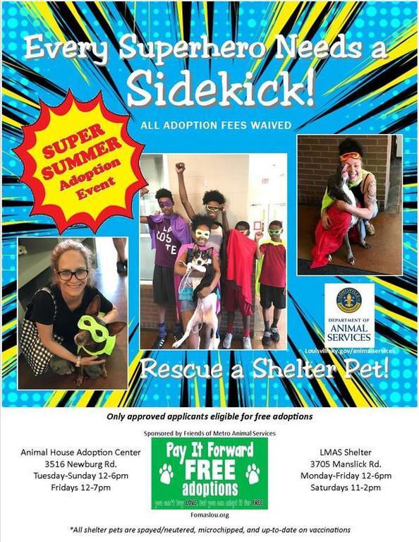 mas summer adpt 2018