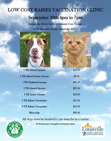 low cost rabies flyer 