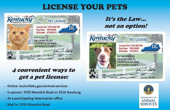 LMAS licenses