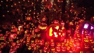 Jack O Lantern Spectacular 2