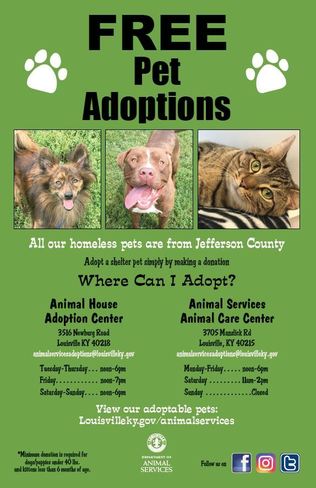 Free pet adoptions