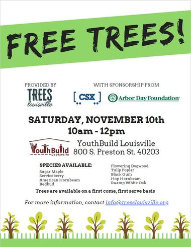 Trees from CSX